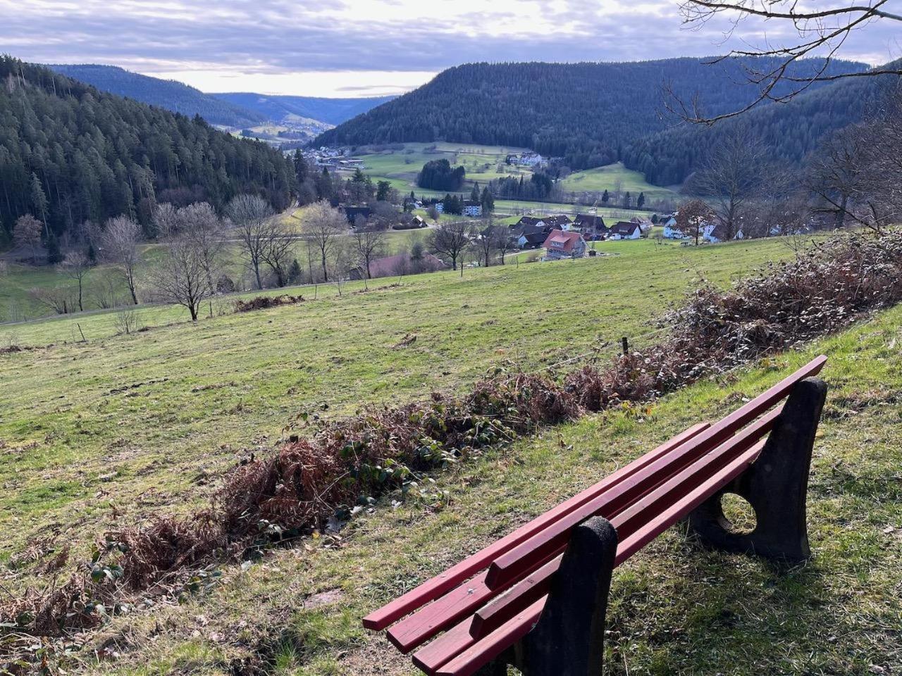 Ferienwohnungen Greve Baiersbronn Luaran gambar
