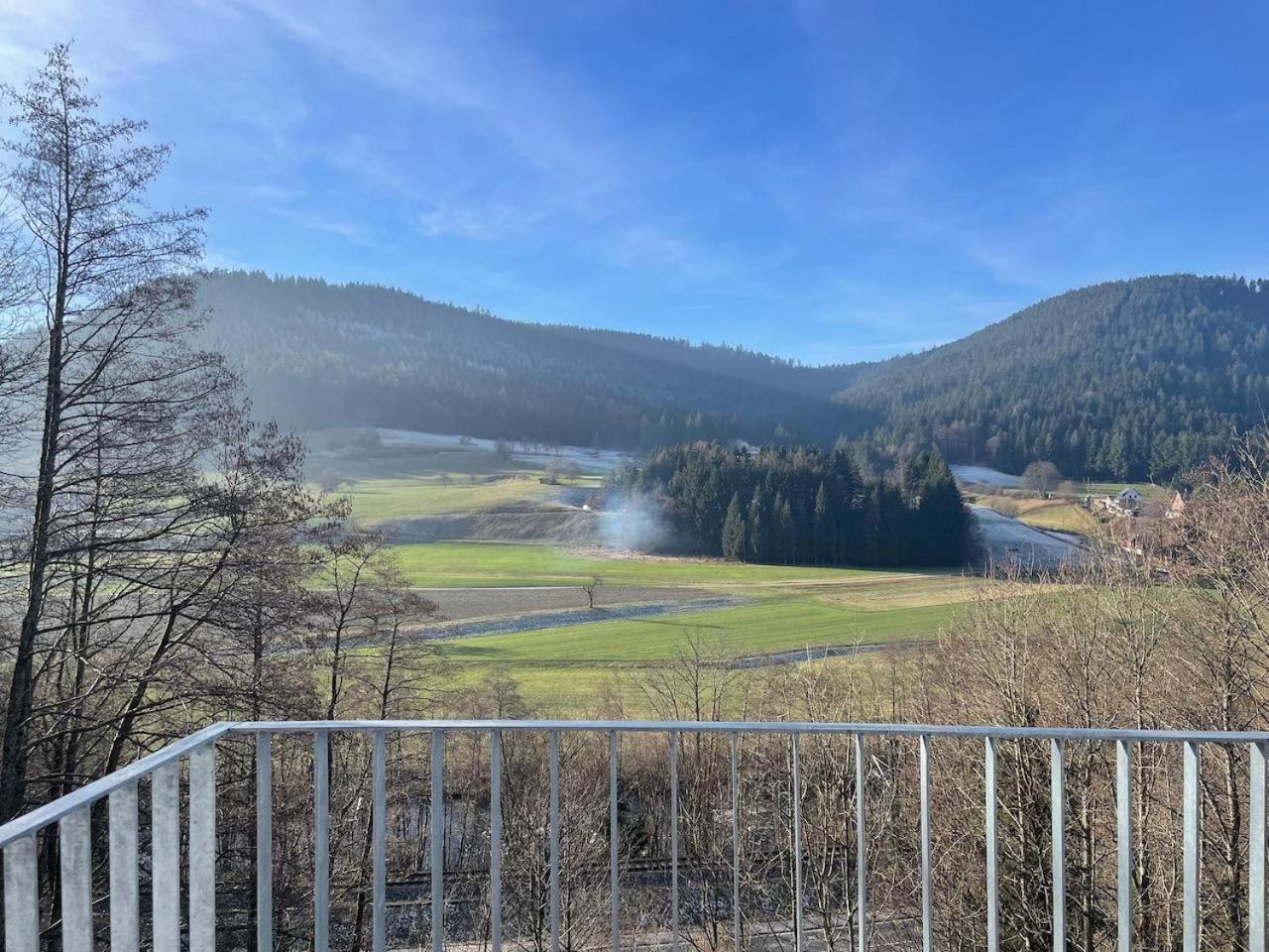 Ferienwohnungen Greve Baiersbronn Luaran gambar